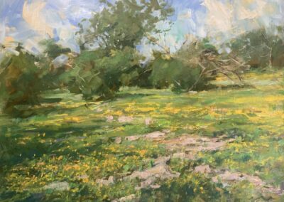 Early Summer Wildflowers